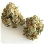 Шишки "White Widow"  (Белая вдова)  Гидропоника -  Бошка VHQ в Гагарине