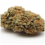 Шишки AK47  (Гидропоника, Бошка) VHQ в Гагарине